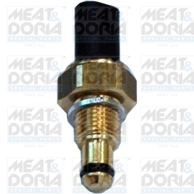 Sensor, fuel temperature